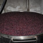 cuve de grenache